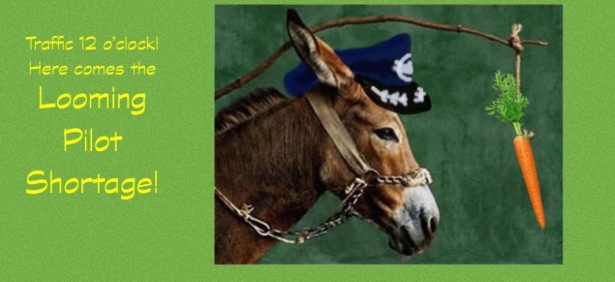 donkey with a an airline pilot's hat on, and at a carrot forever dangling in front of him.
