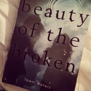 Beauty of the Broken Cover