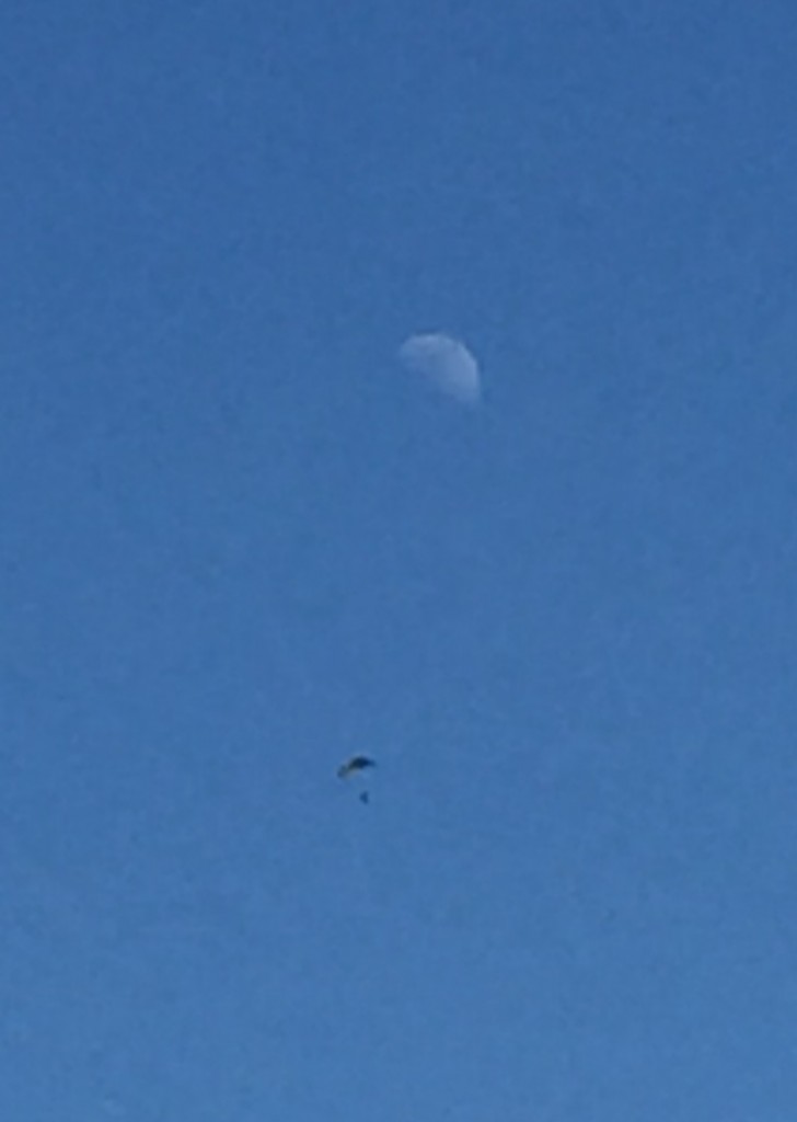 Skydive Moon