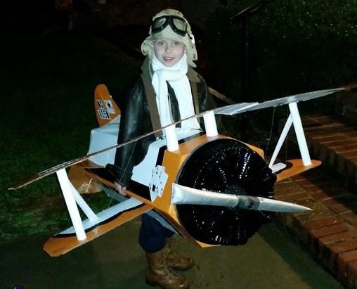 pilot_and_his_biplane2 Safety-A Frightfully Serious Matter