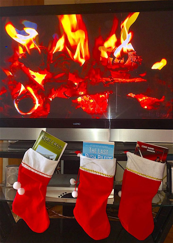 fire-stockings-books The Making of a European Airline Pilot