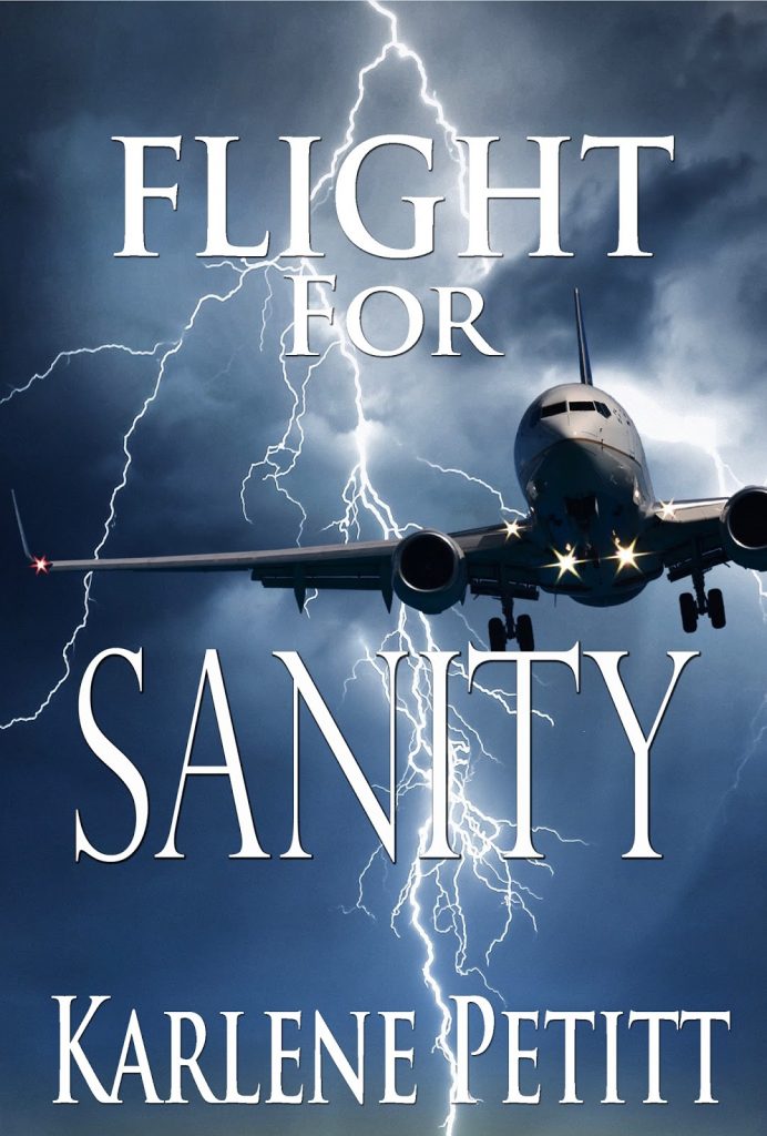 SanityFrontDRAFT Hi Just When You Thought it Safe to Go Back in the Sky—Flight for Sanity!