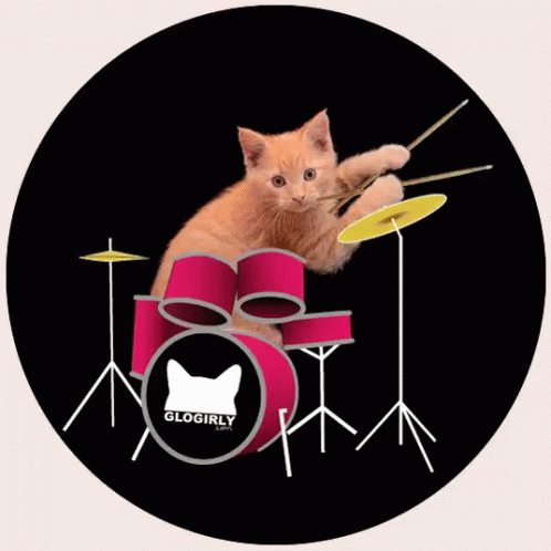 kitty cat drum roll All Time Best of Cap’n Aux!